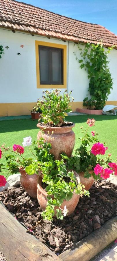 Vila Natura Барейро Екстериор снимка